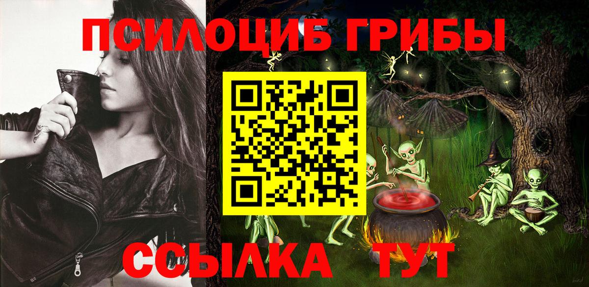 Псилоцибиновые грибы Psilocybine cubensis  Вход с VPN  Фролово  Галлюциногенные грибы прущие грибы 